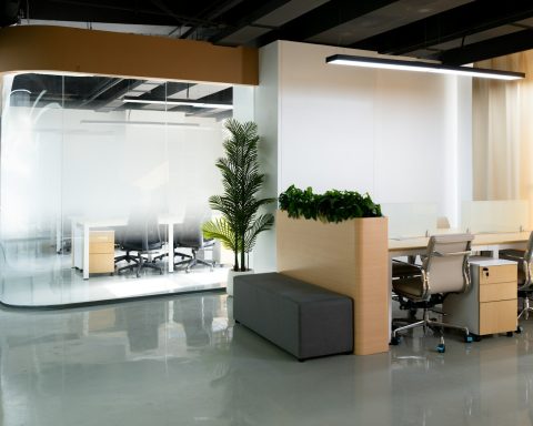 an office with a plant in the middle of the room