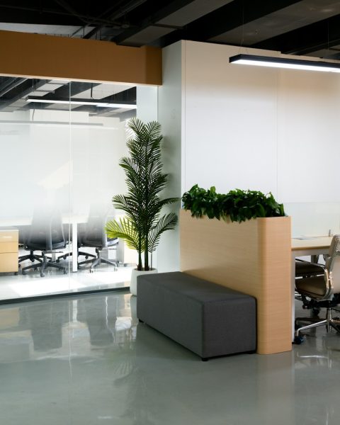 an office with a plant in the middle of the room
