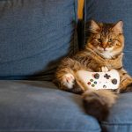 Persoon speelt een indie game op de bank met een controller in de hand