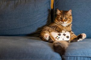 Persoon speelt een indie game op de bank met een controller in de hand