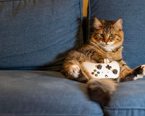 Persoon speelt een indie game op de bank met een controller in de hand