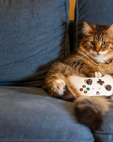 Persoon speelt een indie game op de bank met een controller in de hand