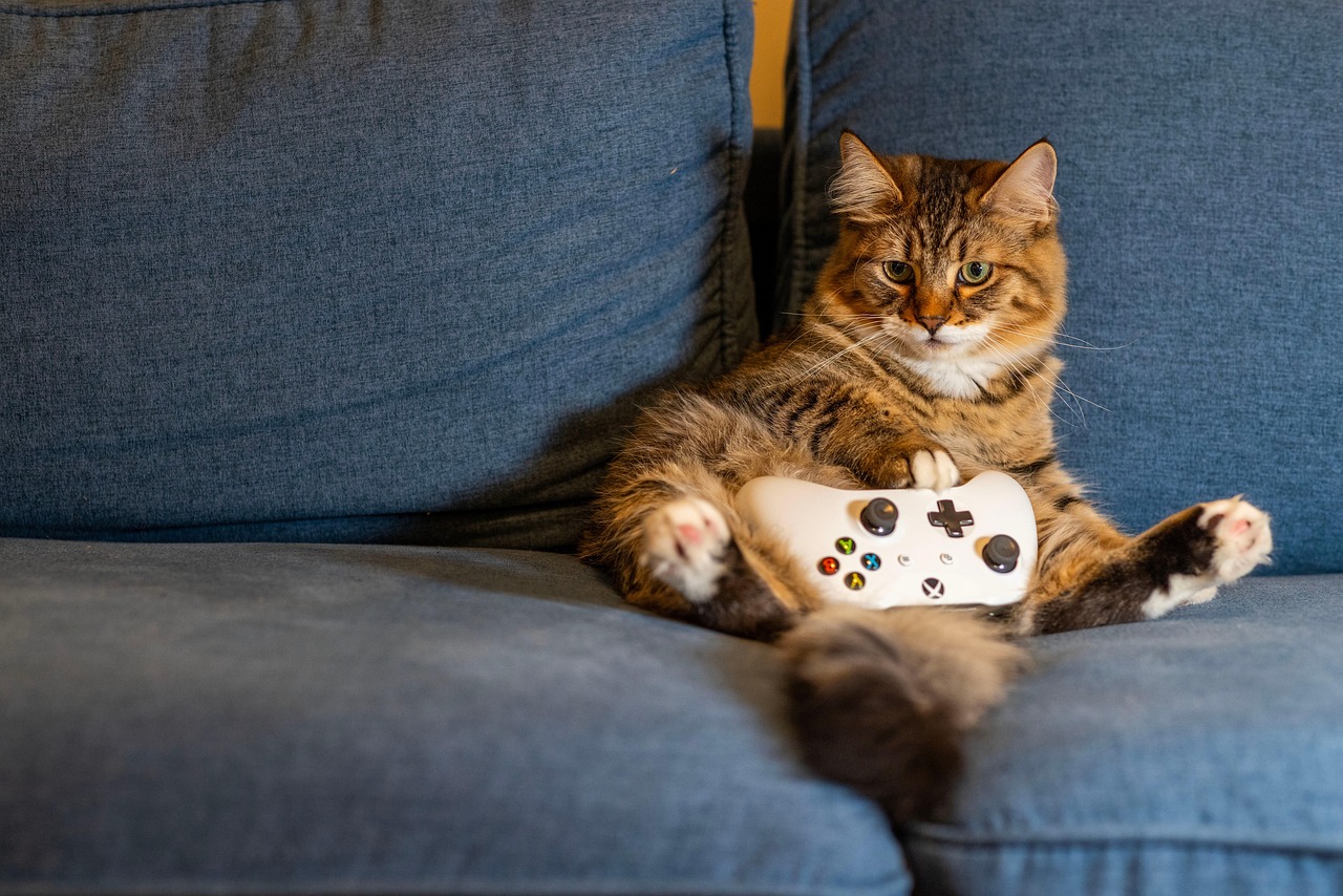 Persoon speelt een indie game op de bank met een controller in de hand