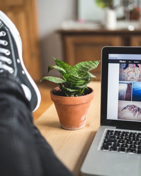 Zzp'er werkt op een laptop aan zijn bureau en beheert cloudopslag
