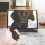 Persoon achter een laptop tijdens een videocall in een thuiskantoor