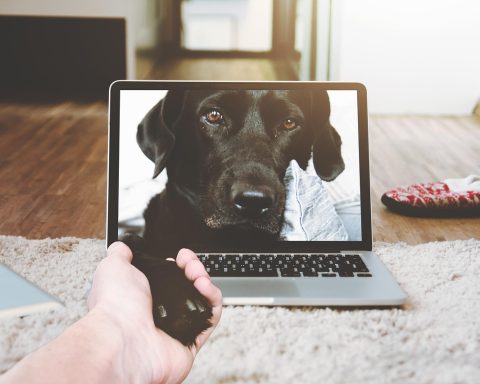 Persoon achter een laptop tijdens een videocall in een thuiskantoor
