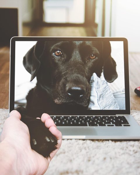 Persoon achter een laptop tijdens een videocall in een thuiskantoor