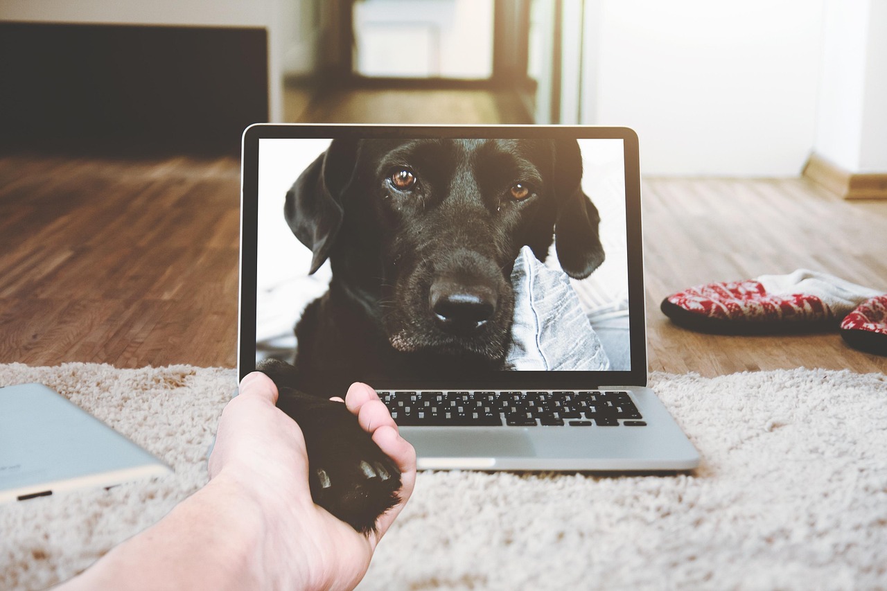 Persoon achter een laptop tijdens een videocall in een thuiskantoor